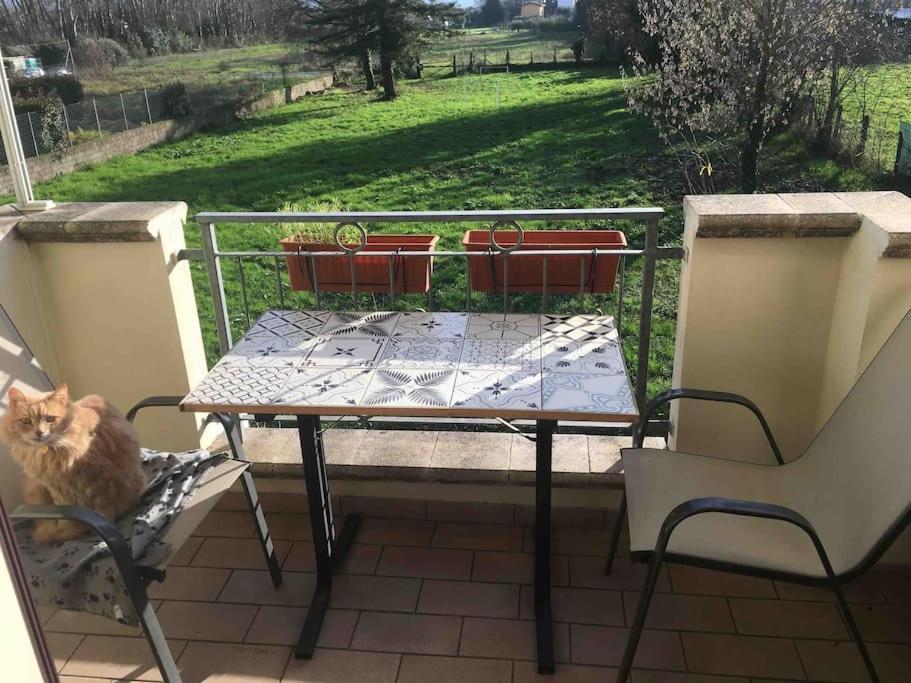 Appartamento Piccolo Borgo Lucca Esterno foto